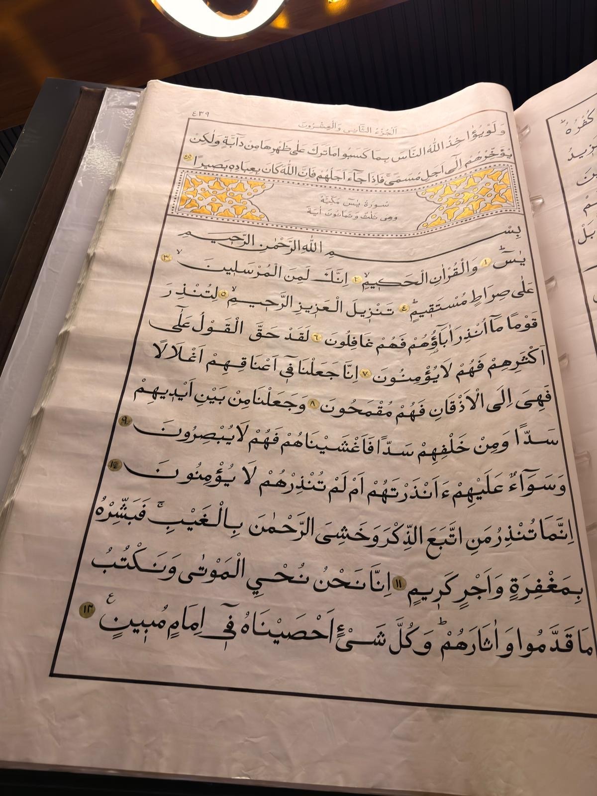 IMG_1820 Dünyanın en büyük ikinci el yazması Kur’an-ı Kerim’i Kahramanmaraş’ta ziyarete açılıyor